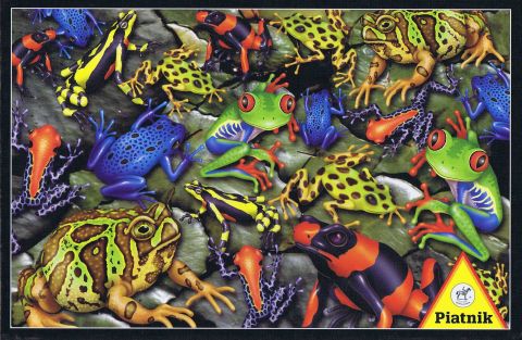 Big Frogs, 1000 brikker (1)
